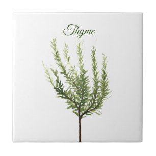 Thyme Herb Greenery Kitchen Culinary Green Plant C Ceramic Tile