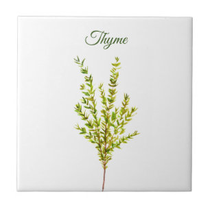Thyme Herb Greenery Kitchen Culinary Green Plant Ceramic Tile