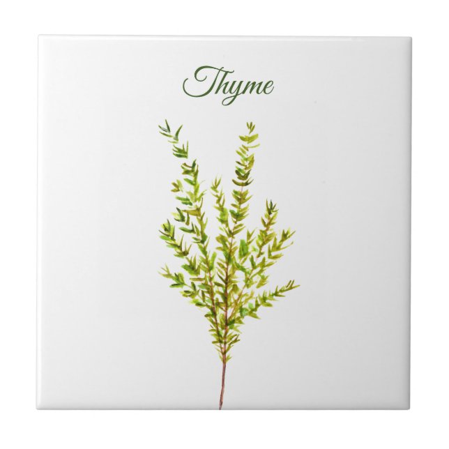 Thyme Herb Greenery Kitchen Culinary Green Plant Ceramic Tile (Front)