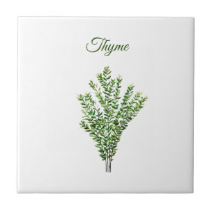Thyme Herb Greenery Kitchen Culinary Green Plant Ceramic Tile