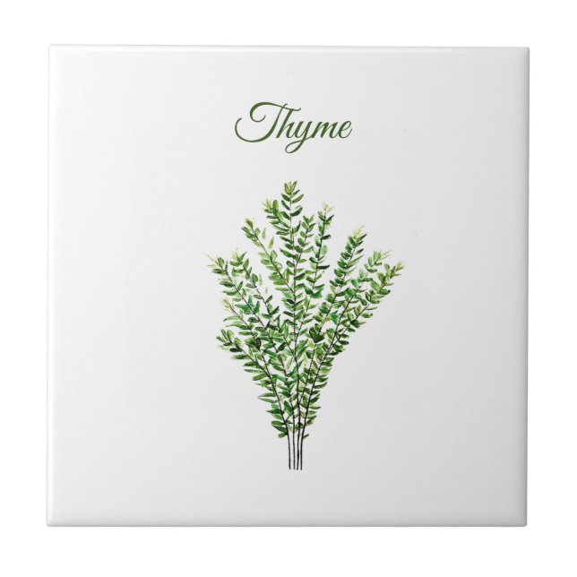 Thyme Herb Greenery Kitchen Culinary Green Plant Ceramic Tile (Front)