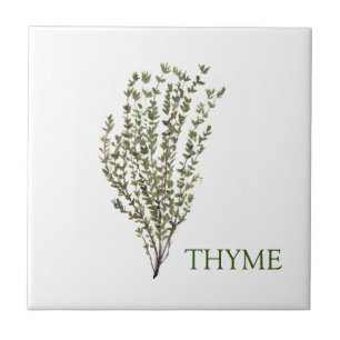 Thyme Herb Greenery Kitchen Culinary Green Plant Ceramic Tile