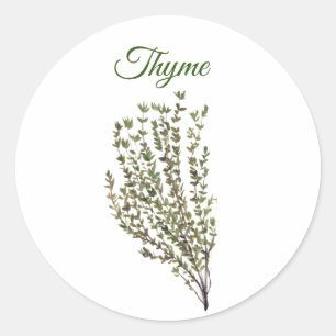 Thyme Herb Greenery Kitchen Culinary Green Plant  Classic Round Sticker