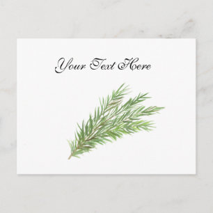Thyme herbs botanical Greenery watercolor Kitchen  Postcard