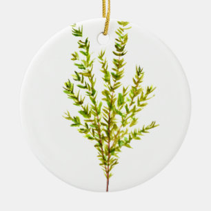 Thyme herbs Botanical herb green watercolor Ceramic Ornament