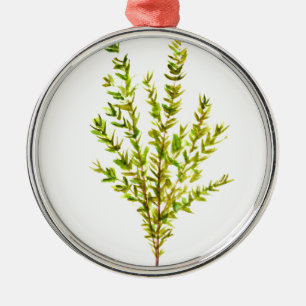 Thyme herbs Botanical herb Metal Ornament