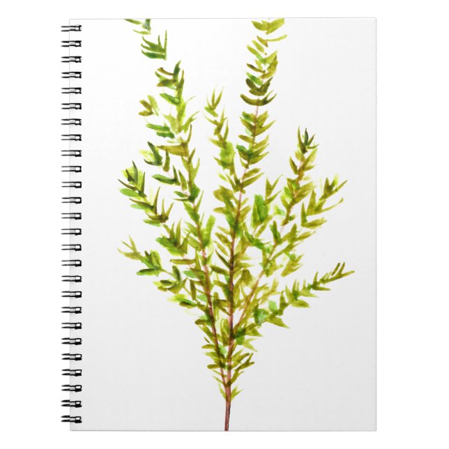 Thyme herbs Botanical herb Notebook (Front)