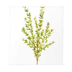 Thyme herbs Botanical herb Notepad