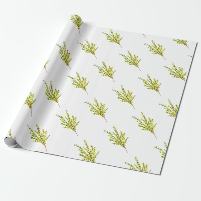 Thyme herbs Botanical herb watercolor kitchen Wrapping Paper (Unrolled)