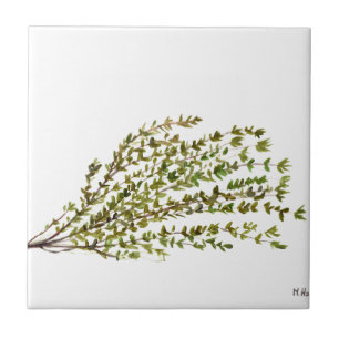Thyme herbs kitchen art watercolour painting ceramic tile