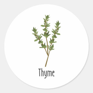 Thyme Spices Herb Classic Round Sticker