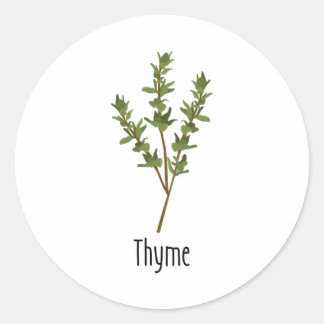 Thyme Spices Herb Classic Round Sticker