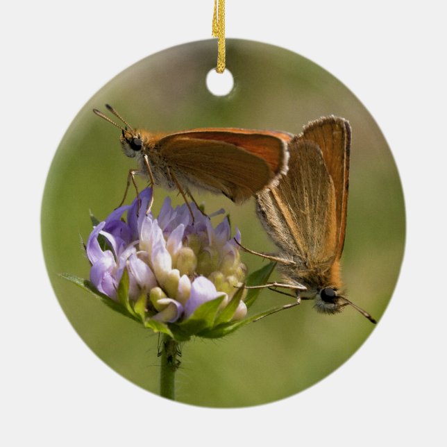 Thymelicus lineola ceramic tree decoration (Back)