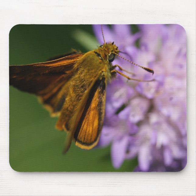 Thymelicus lineola mouse pad (Front)