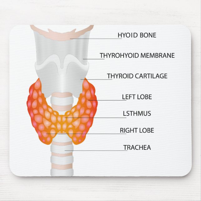 Thyroid gland mouse pad (Front)