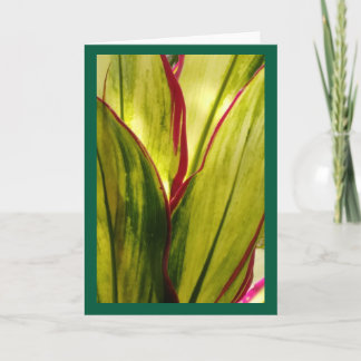 Ti Leaves, blank card