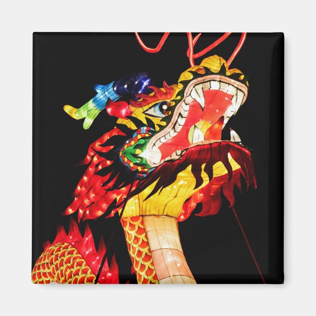 Tianlong Dragon Magnet (Front)