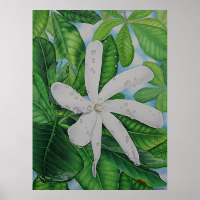 Tiare Tahiti Poster (Front)