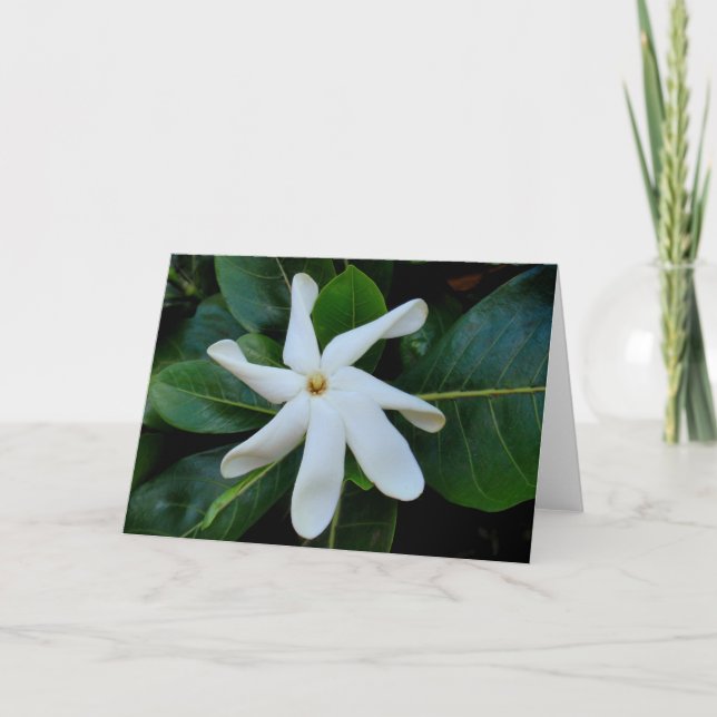 Tiare Tahitian Gardenia Card (Front)