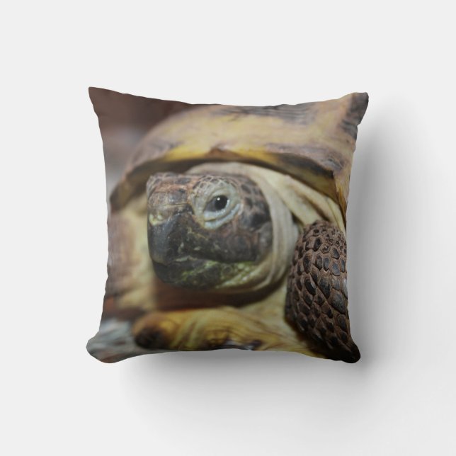 Tibbs  pillow (Front)
