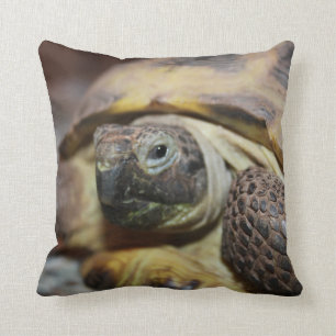 Tibbs pillow