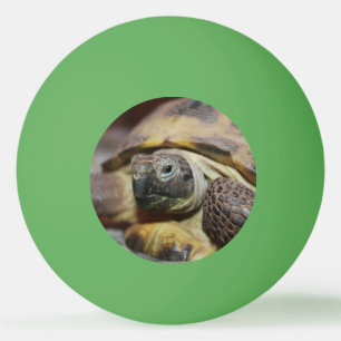 Tibbs Ping Pong Ball