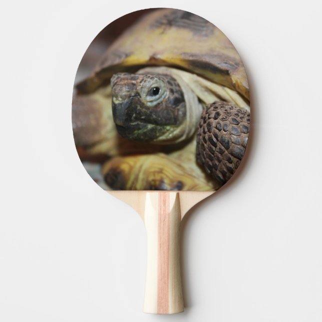 Tibbs Ping Pong Paddle (Front)