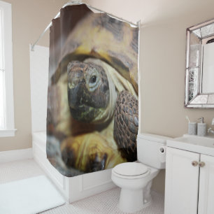 Tibbs Shower Curtain