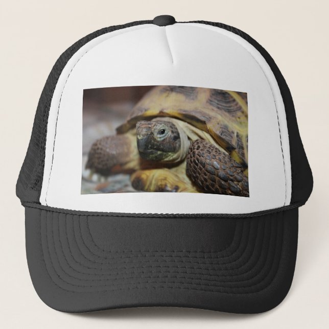 Tibbs Trucker Hat (Front)