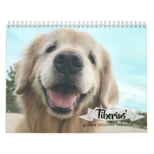 Tiberius' 2019 Golden Retriever AugieDoggy Calendar