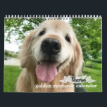 Tiberius' 2020 Golden Retriever Calendar<br><div class="desc">This calendar features 12 months of golden retriever dog Tiberius,  of AugieDoggy.com fame! Ti can be seen in all his cuteness,  just enjoying the best doggy life ever! We dedicate it to our Augie,  who went to the rainbow bridge on February 11th,  2017.</div>