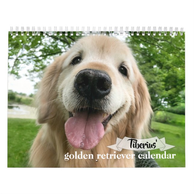 Tiberius' 2020 Golden Retriever Calendar (Cover)