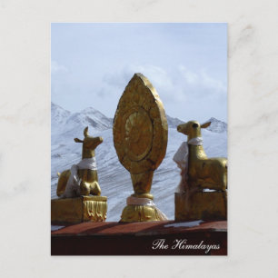 Tibet, Ganden Monastery Deers turning Dharma wheel Postcard