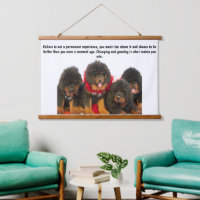 Tibetan Mastiff Cute Brown Puppies