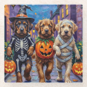 Tibetan Mastiff Dogs In Halloween Costumes Glass Coaster