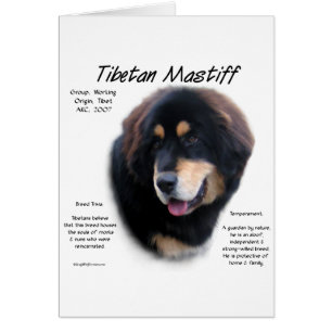 Tibetan Mastiff History Design