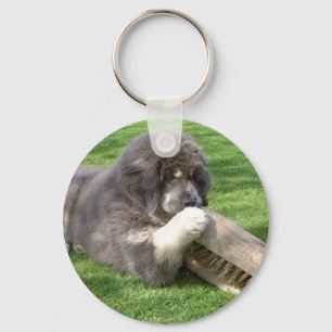 Tibetan Mastiff Jampo with broom keychain