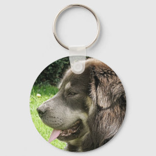 tibetan mastiff.png key ring