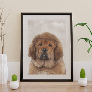 Tibetan Mastiff Poster