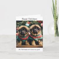 Tibetan Mastiff Puppies Christmas Card