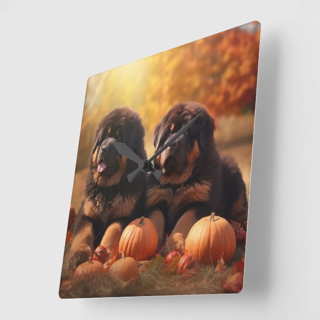 Tibetan Mastiff Puppy Autumn Delight Pumpkin  Square Wall Clock (Angle)