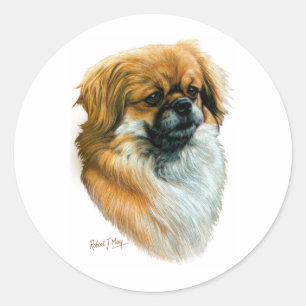 Tibetan Spaniel Classic Round Sticker