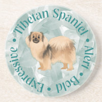 Tibetan Spaniel Coaster "Bold" (teal)