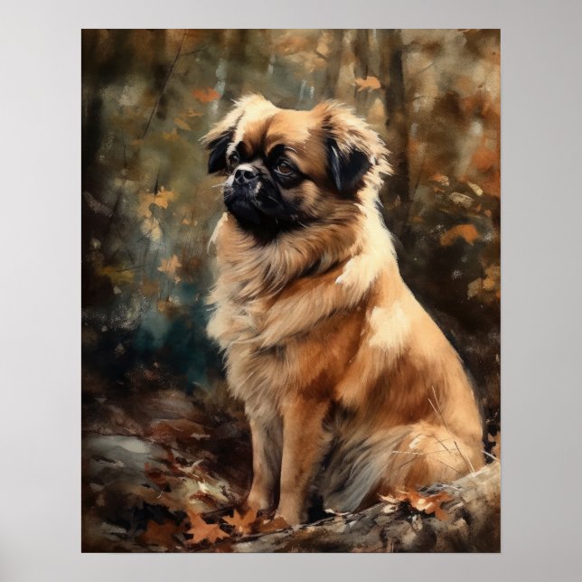 Tibetan Spaniel Dog Art Print Poster (Front)