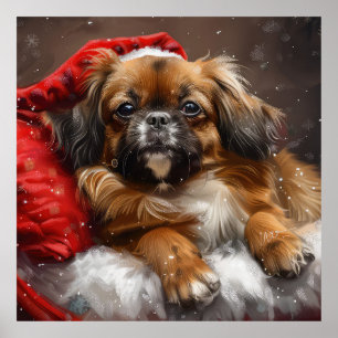 Tibetan Spaniel Dog Christmas Festive Poster