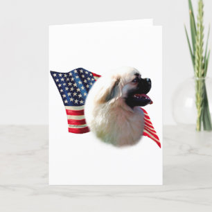 Tibetan Spaniel Flag Card