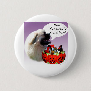 Tibetan Spaniel Halloween Candy 6 Cm Round Badge