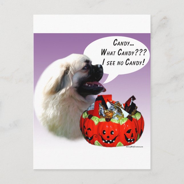 Tibetan Spaniel Halloween Candy Postcard (Front)