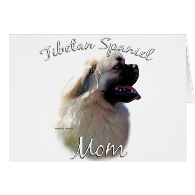 Tibetan Spaniel Mum 2 (Front Horizontal)