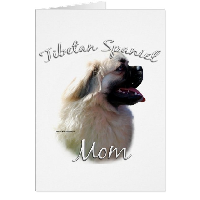 Tibetan Spaniel Mum 2 (Front)